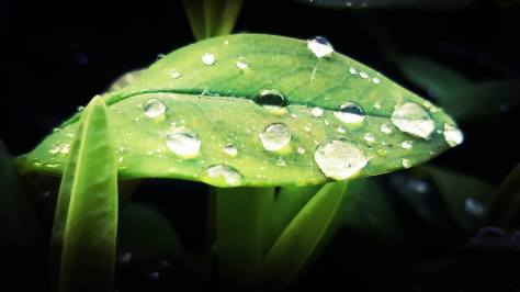 IMG_20190424_072620_055