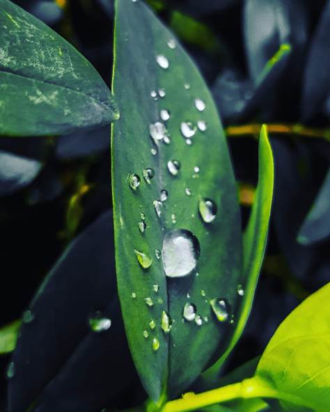 IMG_20190425_094716_127